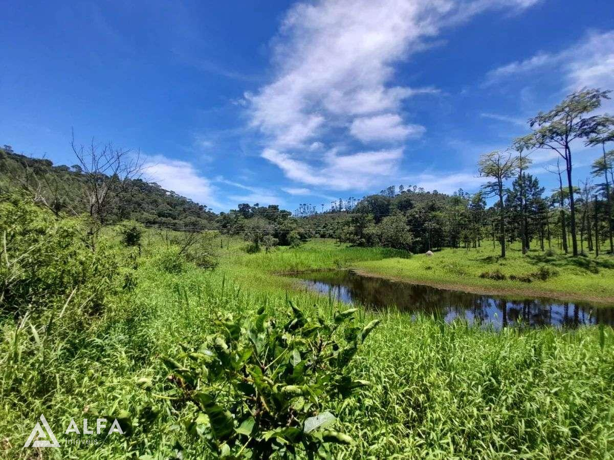 Fazenda à venda em Barbacena, Correia de Almeida, com 4 quartos, 53ha