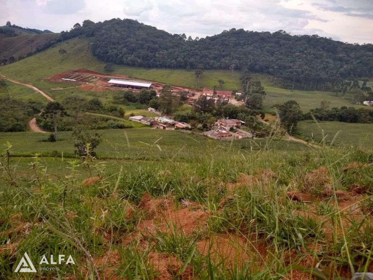 Fazenda à venda em Barbacena, Correia de Almeida, com 4 quartos, 30,2357ha