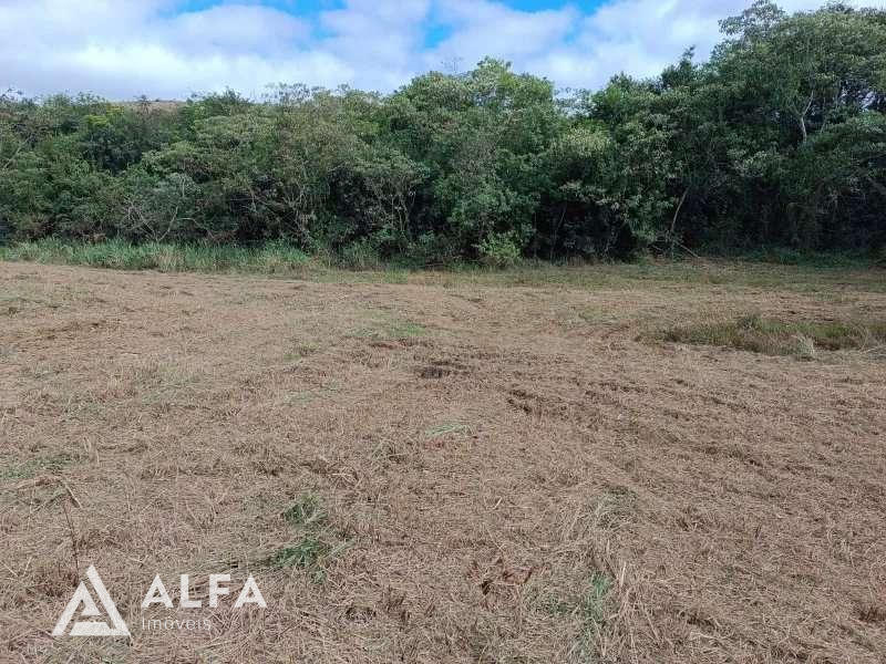 Oportunidade Única: Terreno de 5.500m² em Campolide
