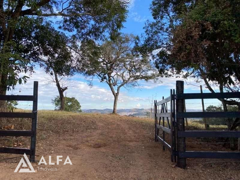 Seu Refúgio Pessoal: Construa o Lar dos Seus Sonhos neste Espaçoso Lote de 4.200 m² - Alfa Imóveis